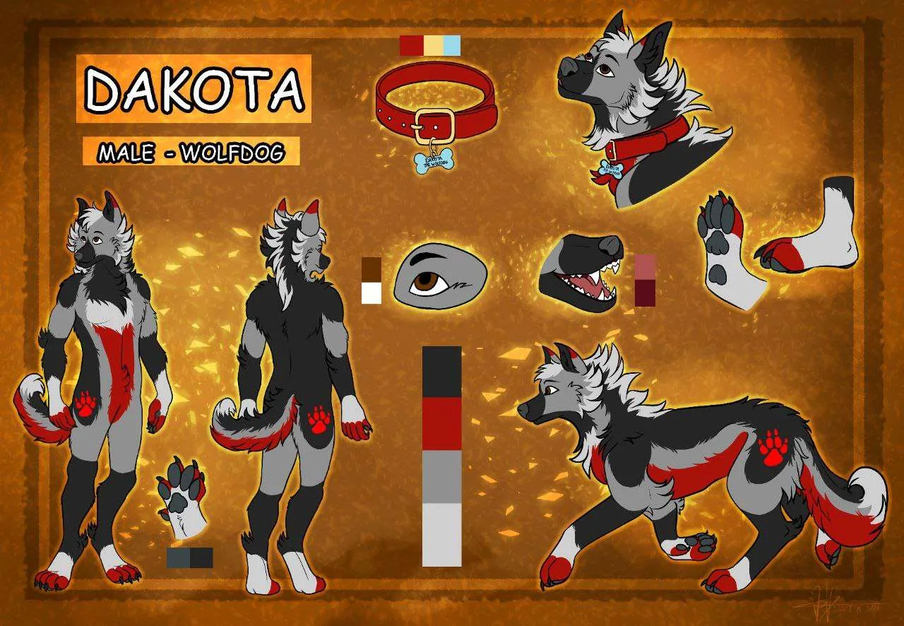 Dakota wolfdog character reference sheet