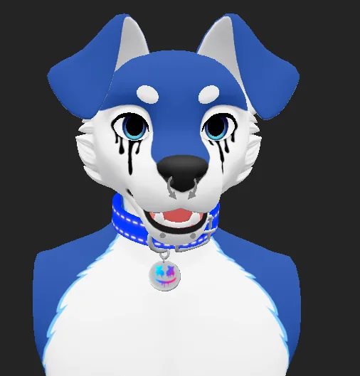 Close-up portrait of Marshmello Masculine Canine