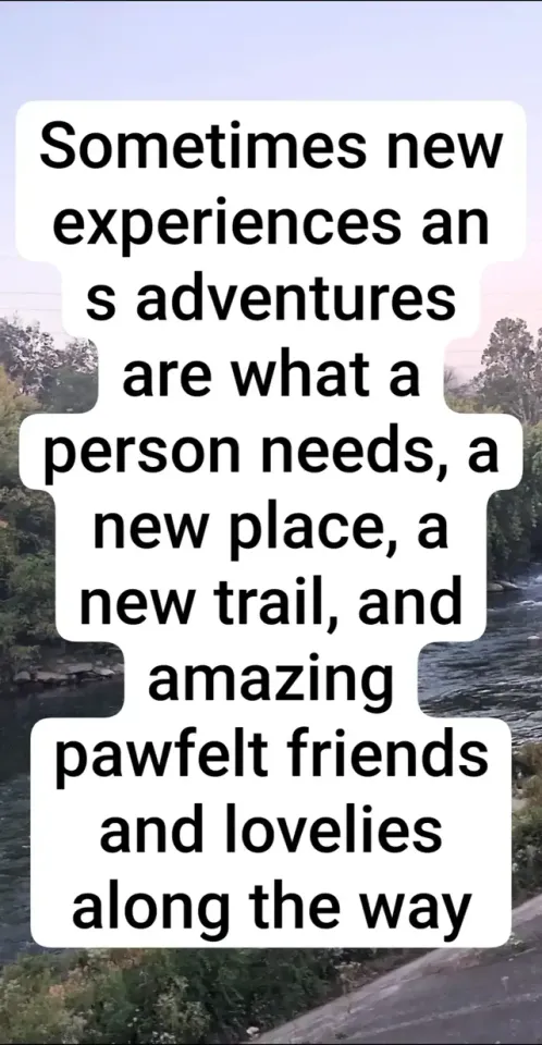 TikTok preview: whether its with friends or alone there's beauty in the fandom and even outside in the world.