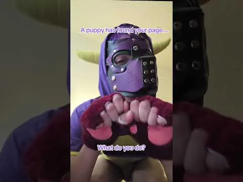 YouTube preview: Oop, you've found puppy, what do you do?#pupplay #puppyhood #foundyou #contentcreator #boop